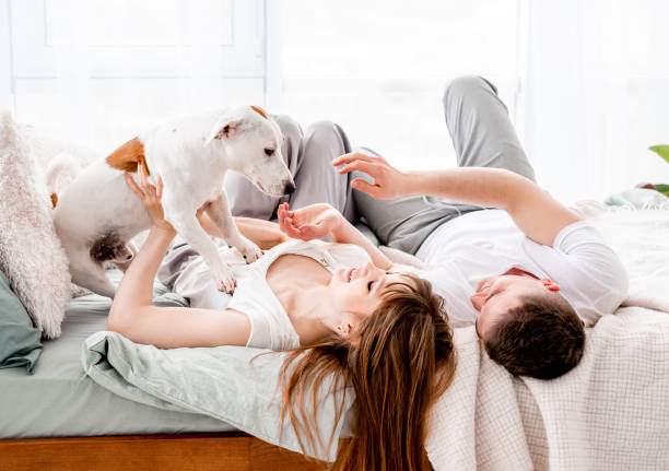istock Couple in the bed with dog 1407049829