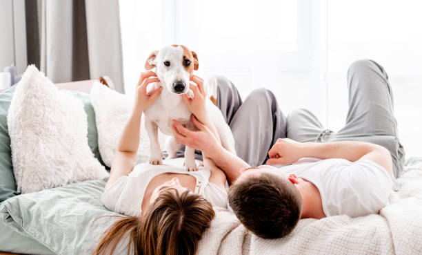 istock Couple in the bed with dog 1407049838