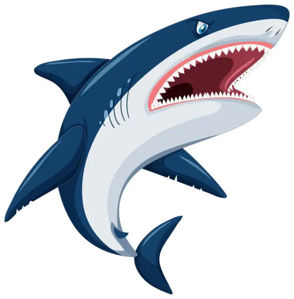 Vector illustration of Aggressive great white shark cartoon