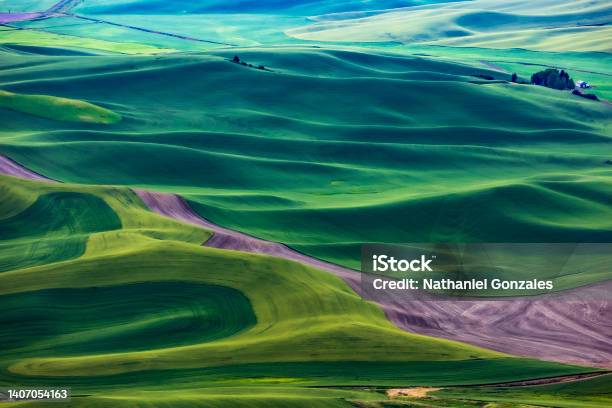 Rolling Green Fields In Palouse Washington Stock Photo - Download Image Now - Palouse, Abstract, Abstract Backgrounds
