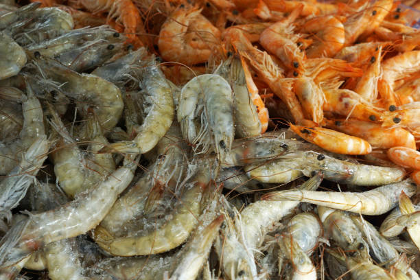istock Close up Fresh seafood displayed on stall market shelf 1407055461