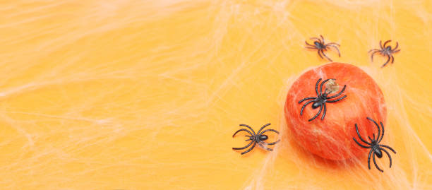 istock Halloween pumpkin with spider web and black spiders on orange background. 1407056717