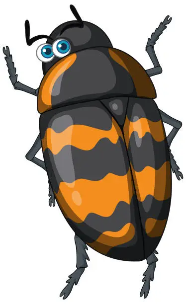 Vector illustration of A beetle cartoon character isolated