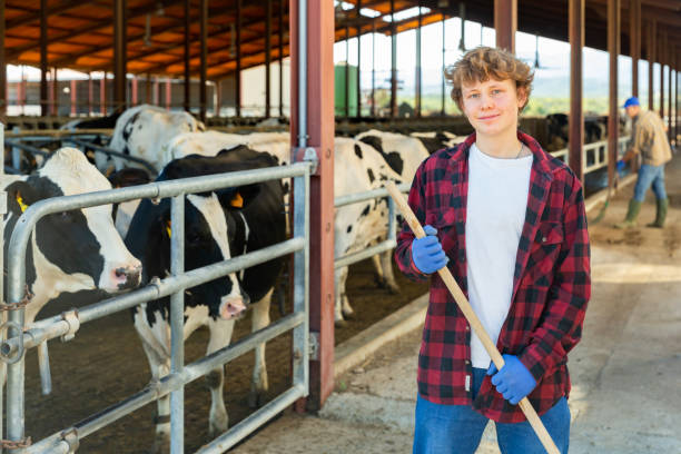 istock Young milk farm worker in cowhouse 1407062796