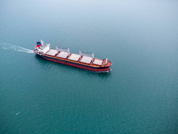 a large bulk carrier transports grain at sea, aerial view stock photo