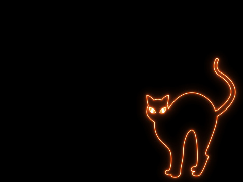 neon cat