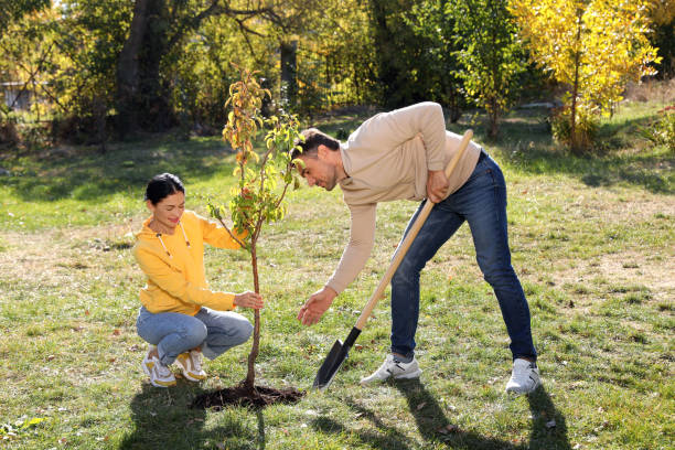 istock People planting young tree in park on sunny day 1407072762