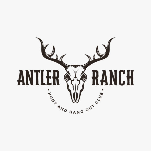 illustrations, cliparts, dessins animés et icônes de crâne vintage de cerf, motif de symbole de ranch en bois sur fond blanc - deer skull