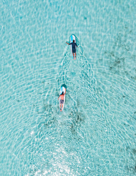 istock Surf instructor showing to surfing basics on surfboard 1407076725