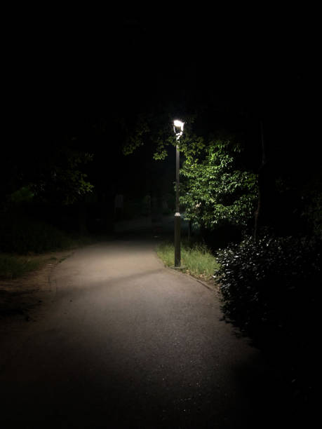 istock A quiet path in the middle of the night 1407079136