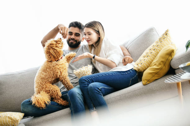 istock Young couple enjoying with their dog on the sofa. 1407080909