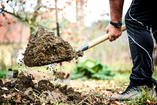 Man boot or shoe on spade prepare for digging. Farmer digs soil with shovel in garden, workers loosen black dirt at farm, agriculture concept autumn detail.
