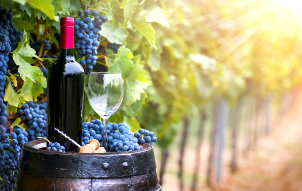 istock Fresh blue grapes and red wine bottle on wooden barrel. 1407081803