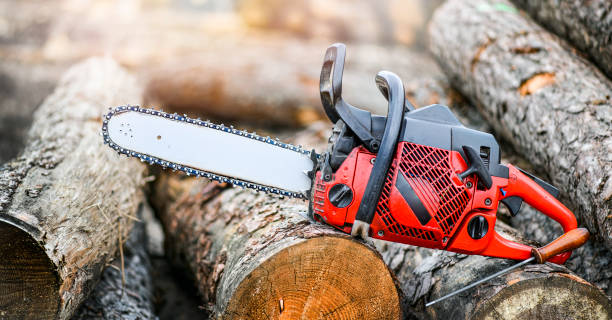 istock Chainsaw on wooden stump.  Hard wood working in forest 1407081830