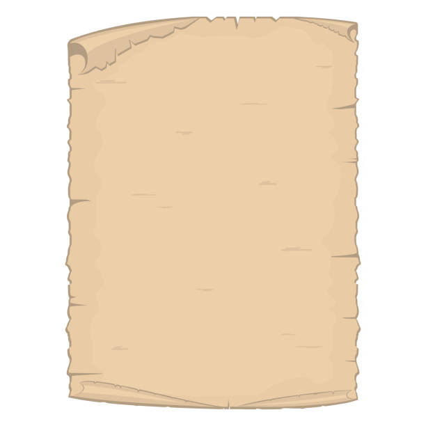 白い背景に分離された羊皮紙の古い紙シートベクトルイラスト。 - paper sheet点のイラスト素材／クリップアート素材／マンガ素材／アイコン素材