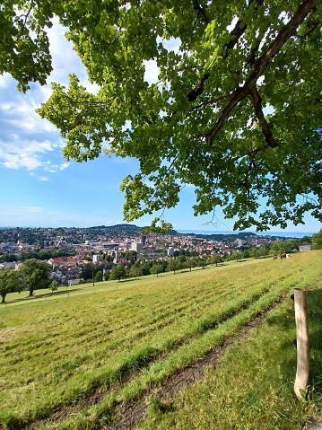 Mobile shot Viewpoint over St. Gallen l cityscape meadows Lake Constance