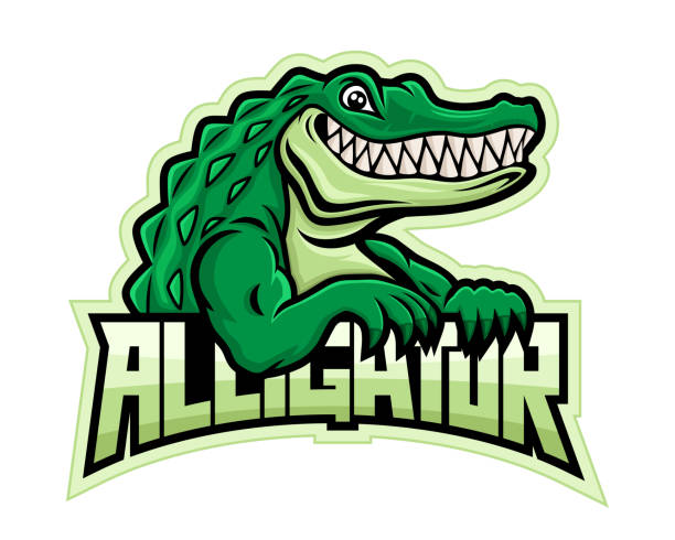 Green crocodile alligator icon. vector art illustration