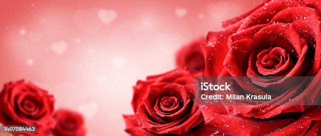 istock Roses In Romantic heart Background bokeh. Valentine rose card banner or wide panorama concept. 1407084463