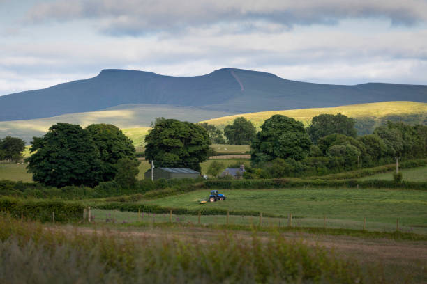 l’agriculture dans les brecon beacons - welsh culture wales field hedge photos et images de collection