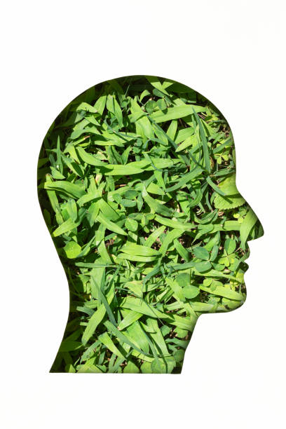 Human head in paper cut style and green grass