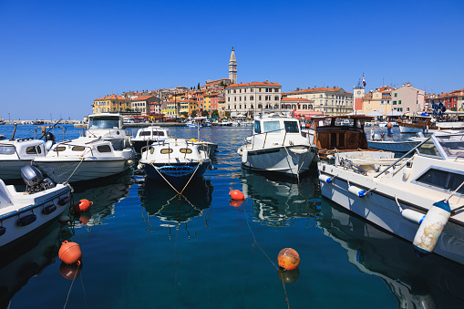 Motor boats floating on sea surface anchored orderly in marina, Rovinj old townscape in the distance across the water