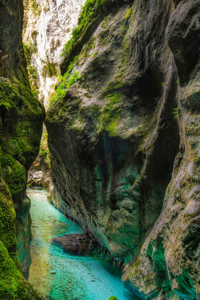 istock Summertime in Slovenia 1407088815