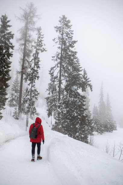 istock man in red winter coat walking by misty forest trail 1407090485