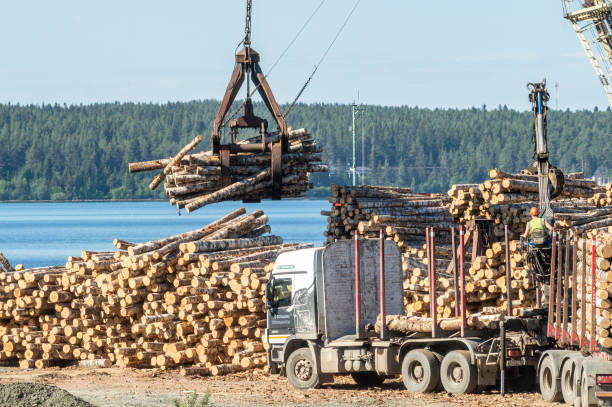 Loading Timber 390+ Crane Loading Unloading Wood Stock Photos, Pictures & Royalty-Free ...