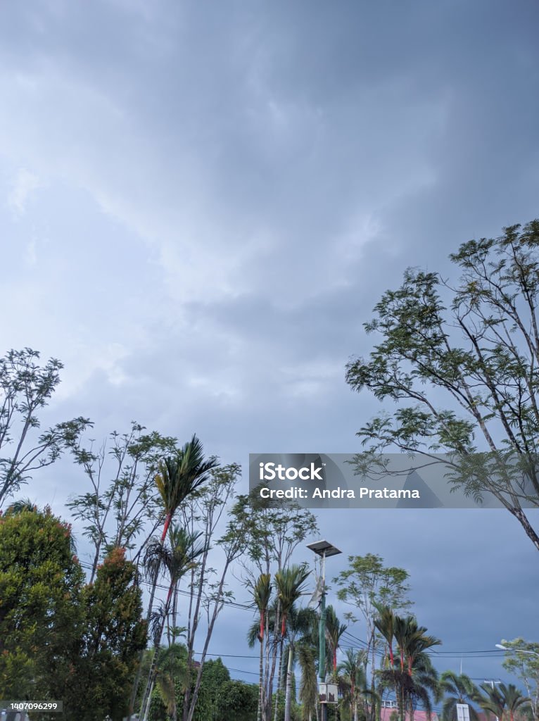 Low Angle View of Tress Againts Cloudy Dark Sky The view of trees againts the cloudy dark sky Color Image Stock Photo