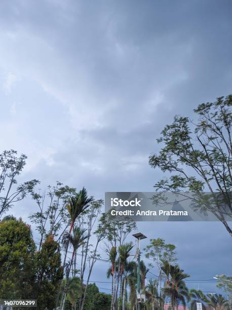 Low Angle View Of Tress Againts Cloudy Dark Sky Stock Photo - Download Image Now - Color Image, Indonesia, Indonesian Culture