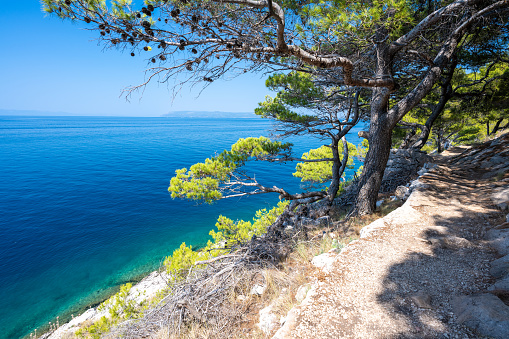 Amazing crystal clear water of adriatic sea on Makarska riviera in Croatia