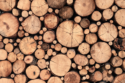 High angle view of a flat textured wooden board backgrounds. It has a beautiful nature and abstractive pattern. A close-up studio shooting shows details and lots of wood grain on the wood table. The piece of wood at the surface of the table also appears rich wooden material on it. The wood is dark brown color with darker brown lines and pattern on the bottom. Flat lay style. Its high-resolution textured quality.