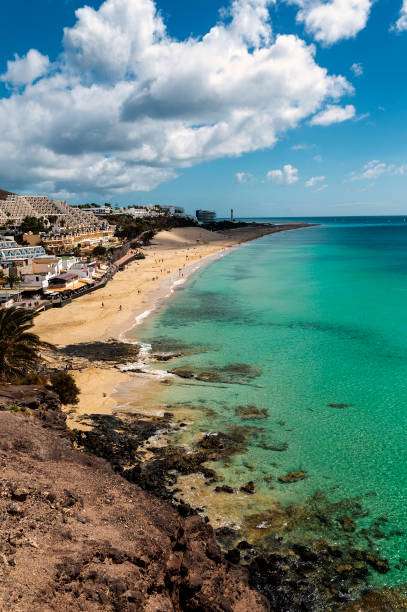istock Matorral beach in Fuerteventura 1407102748