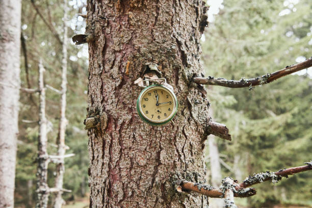 Time for nature and environmental conservation.