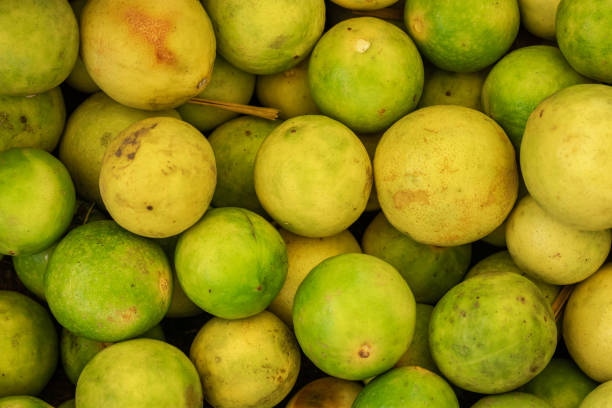 fresh organic lemons from farm close up from different angle