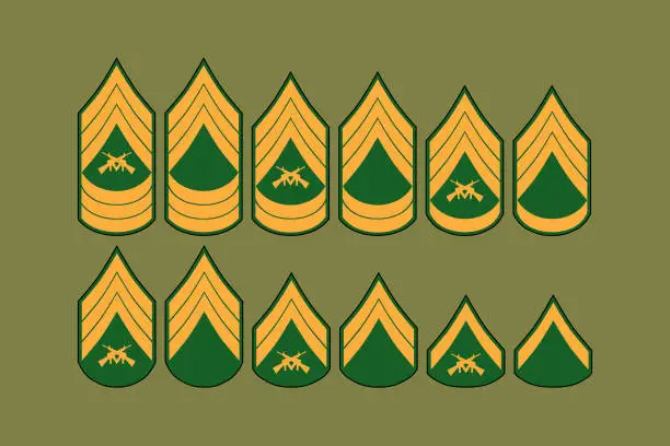 Vector illustration of Army enlisted rank design vector flat illustration