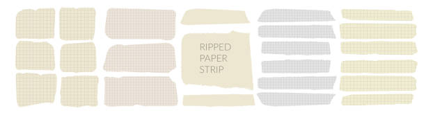 Trozos de papel de una libreta con dibujo de cuadricula recortados, sobre  fondo gris foto de Stock