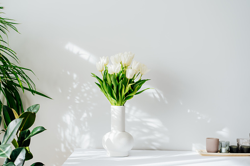 Scandinavian home interior with spring bouquet of white tulip flowers in ceramic vase standing on cabinet. Minimalist design with green plants and white wall with shadows. Biophilia style. Springtime.