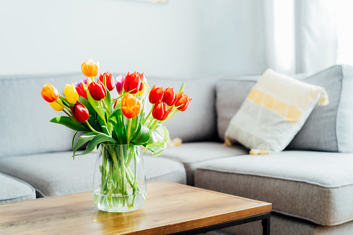 Vase of fresh tulips on the coffee table with blurred background of modern cozy light living room with gray couch sofa and graphic cushions. Open space home interior design. Copy space.