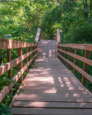 Wooden Boardwalk with Stairwell surrounded by Plants and Trees - Hendrie Valley, Burlington, Ontario