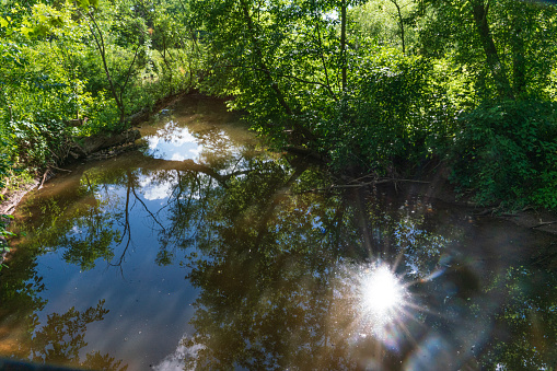 Natural Landscape - Stream through Hendrie Valley with Sunlight Reflecting off the water