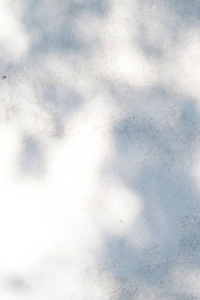 istock A wall with shadows from leaves. Abstract background. 1407116352
