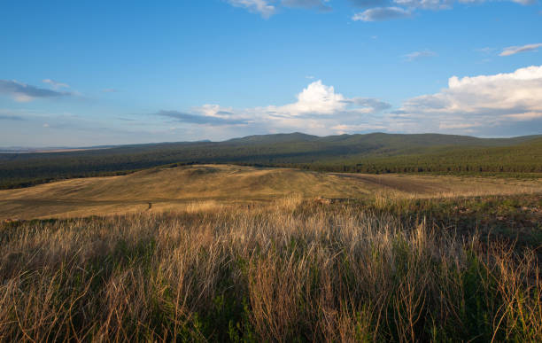 Meadow with green hills and cloudy blue sky.
