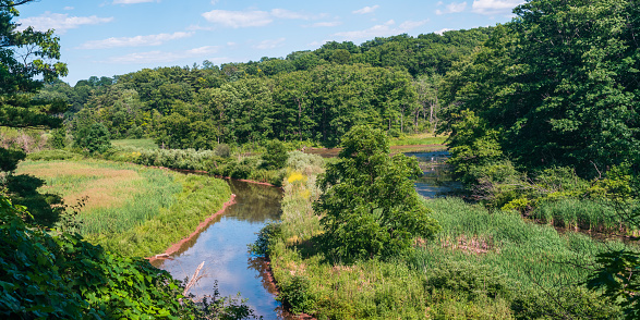 Natural Landscape - Wildlife-filled nature preserve with marshes & creeks - Hendrie Valley