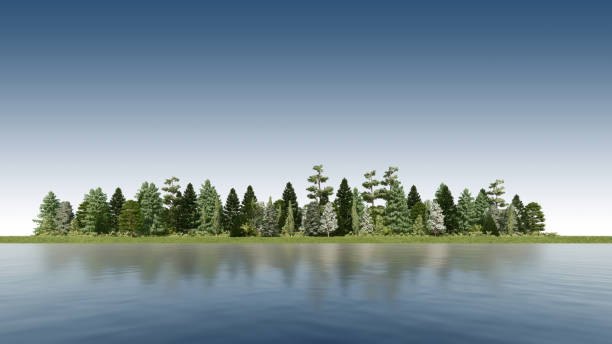 istock 3ds rendering image of 3d rendering trees on grasses field 1407118170
