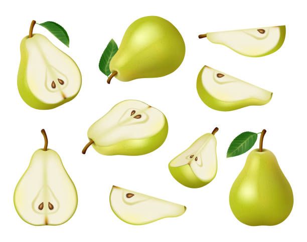 ilustrações de stock, clip art, desenhos animados e ícones de pears collection. green and yellow delicious healthy fruits decent realistic vector pictures set isolated - pera
