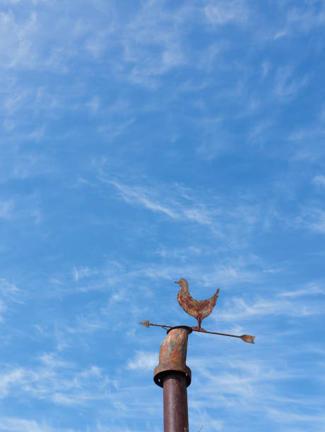 old weather vane on top of a roof, blue sky on the background - roof roof tile rooster weather vane imagens e fotografias de stock