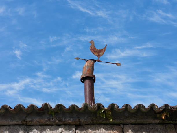 alte wetterfahne auf einem dach, blauer himmel im hintergrund - roof roof tile rooster weather vane stock-fotos und bilder