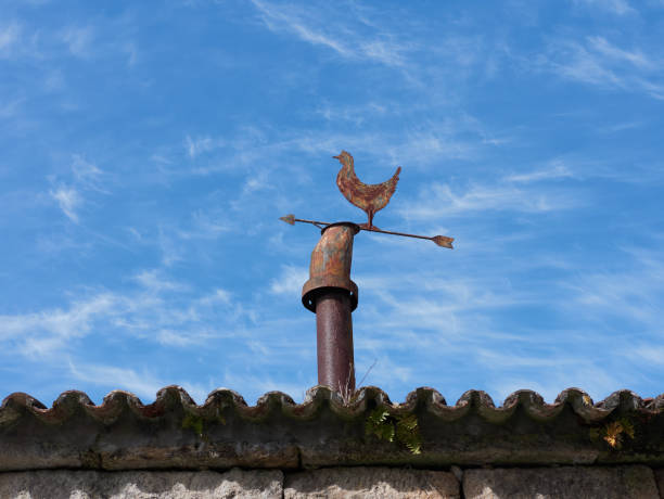 vieja veleta en la parte superior de un techo, cielo azul en el fondo - roof roof tile rooster weather vane fotografías e imágenes de stock
