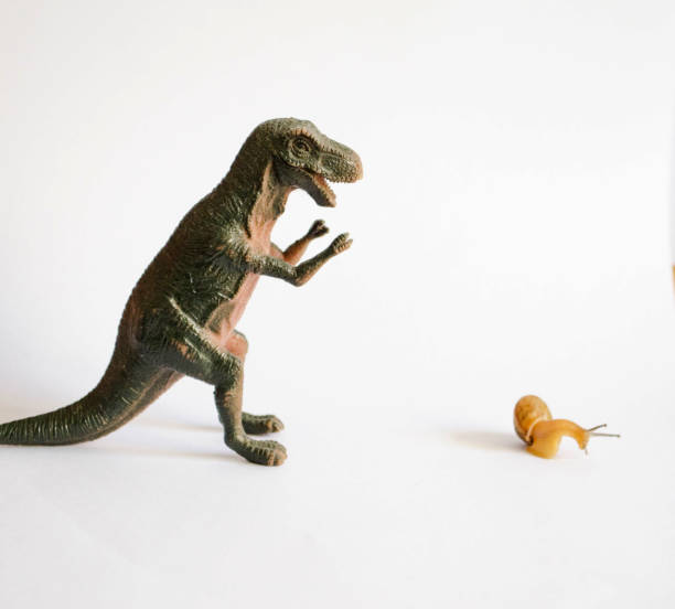 Latin toddler playing with a dinosaur toy